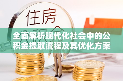 海棠全面解析现代化社会中的公积金提取流程及其优化方案