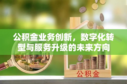 海棠公积金业务创新，数字化转型与服务升级的未来方向
