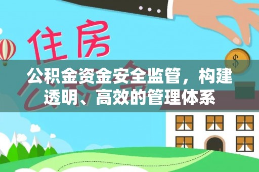 海棠公积金资金安全监管，构建透明、高效的管理体系