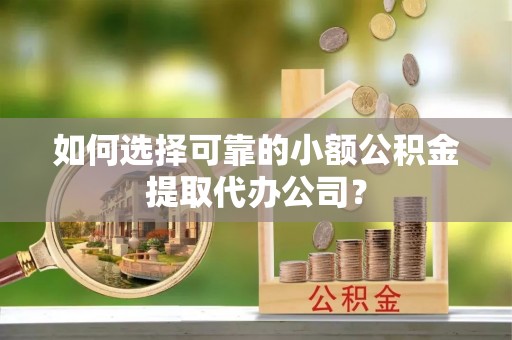 海棠如何选择可靠的小额公积金提取代办公司？