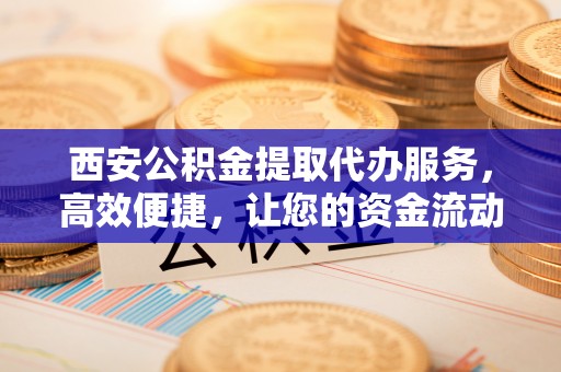 海棠西安公积金提取代办服务，高效便捷，让您的资金流动更灵活