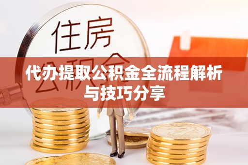 海棠代办提取公积金全流程解析与技巧分享