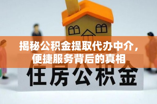 海棠揭秘公积金提取代办中介，便捷服务背后的真相
