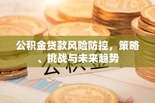 海棠公积金贷款风险防控，策略、挑战与未来趋势