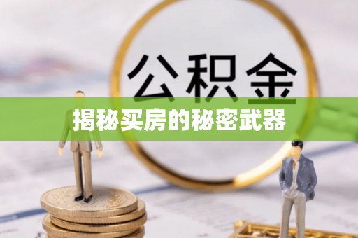 海棠揭秘买房的秘密武器