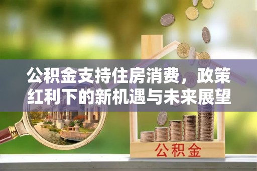 海棠公积金支持住房消费，政策红利下的新机遇与未来展望
