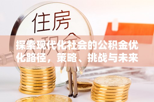 海棠探索现代化社会的公积金优化路径，策略、挑战与未来展望