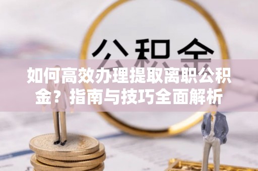海棠如何高效办理提取离职公积金？指南与技巧全面解析