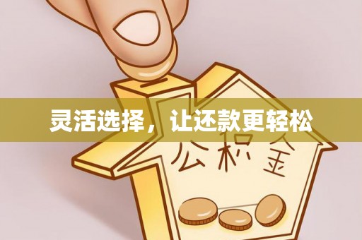 海棠灵活选择，让还款更轻松
