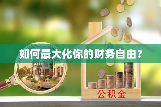 海棠如何最大化你的财务自由？