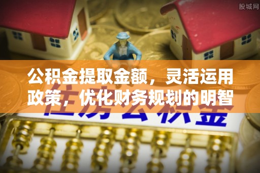 海棠公积金提取金额，灵活运用政策，优化财务规划的明智选择