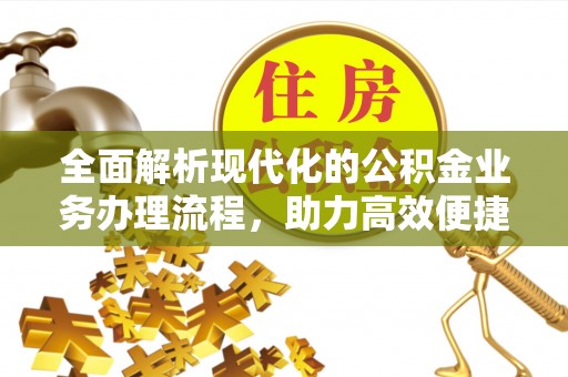 海棠全面解析现代化的公积金业务办理流程，助力高效便捷生活