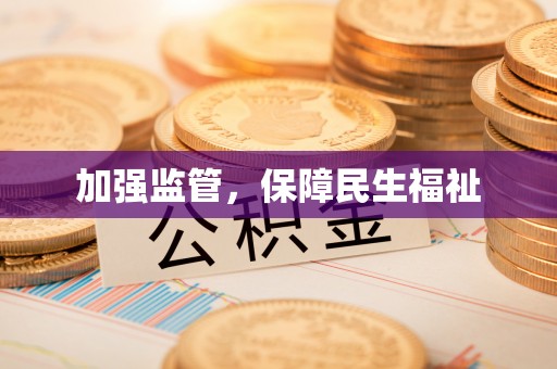 海棠加强监管，保障民生福祉