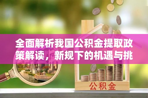 海棠全面解析我国公积金提取政策解读，新规下的机遇与挑战
