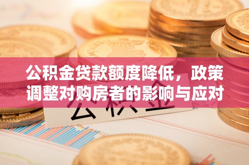 海棠公积金贷款额度降低，政策调整对购房者的影响与应对策略