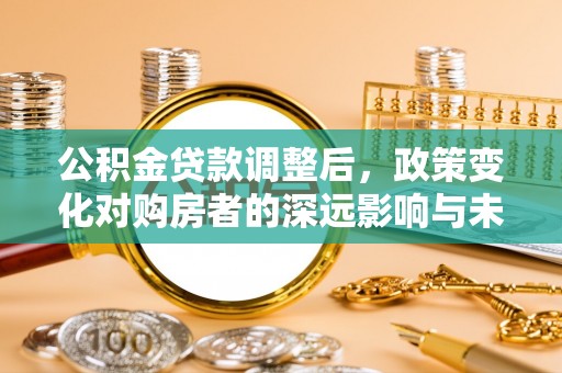 海棠公积金贷款调整后，政策变化对购房者的深远影响与未来趋势分析
