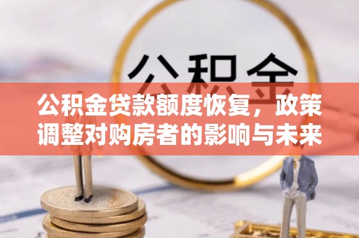 海棠公积金贷款额度恢复，政策调整对购房者的影响与未来展望