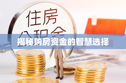 海棠揭秘购房资金的智慧选择