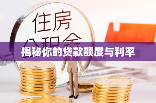 海棠揭秘你的贷款额度与利率