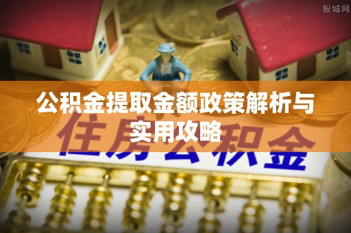 海棠公积金提取金额政策解析与实用攻略