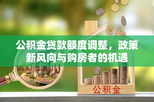 海棠公积金贷款额度调整，政策新风向与购房者的机遇