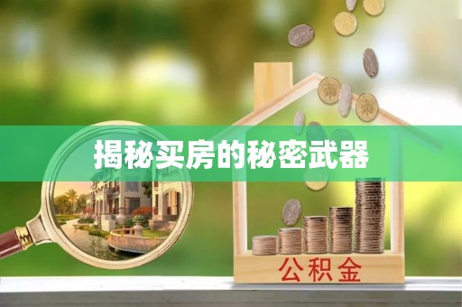 海棠揭秘买房的秘密武器