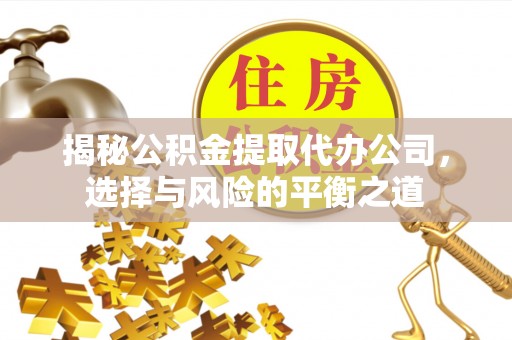海棠揭秘公积金提取代办公司，选择与风险的平衡之道