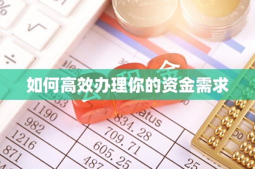 海棠如何高效办理你的资金需求