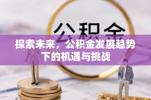 海棠探索未来，公积金发展趋势下的机遇与挑战
