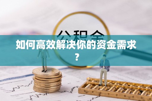 海棠如何高效解决你的资金需求？