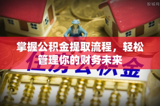 海棠掌握公积金提取流程，轻松管理你的财务未来