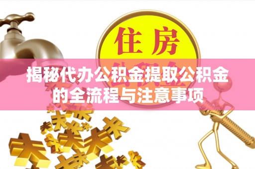 海棠揭秘代办公积金提取公积金的全流程与注意事项