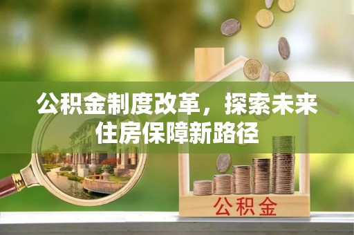 海棠公积金制度改革，探索未来住房保障新路径
