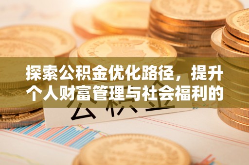 海棠探索公积金优化路径，提升个人财富管理与社会福利的双赢之道