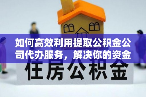 海棠如何高效利用提取公积金公司代办服务，解决你的资金难题