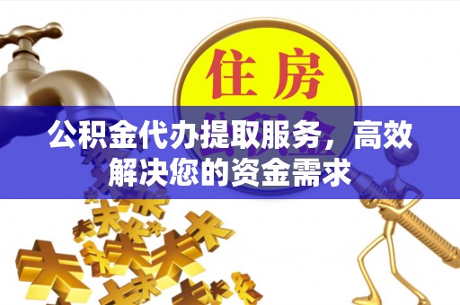 海棠公积金代办提取服务，高效解决您的资金需求