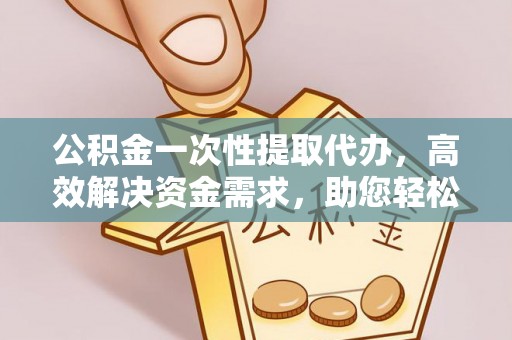 海棠公积金一次性提取代办，高效解决资金需求，助您轻松应对生活难题
