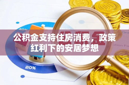 海棠公积金支持住房消费，政策红利下的安居梦想