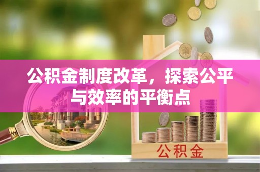 海棠公积金制度改革，探索公平与效率的平衡点