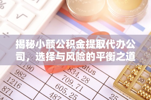 海棠揭秘小额公积金提取代办公司，选择与风险的平衡之道
