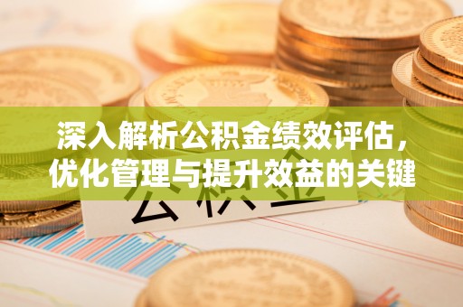 海棠深入解析公积金绩效评估，优化管理与提升效益的关键路径