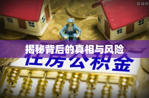海棠揭秘背后的真相与风险