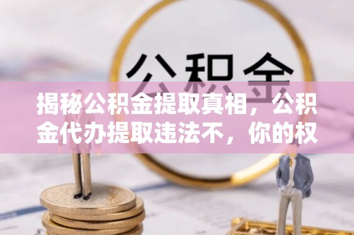 海棠揭秘公积金提取真相，公积金代办提取违法不，你的权益如何保障？