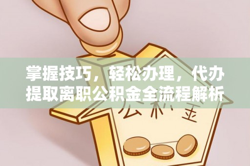 海棠掌握技巧，轻松办理，代办提取离职公积金全流程解析