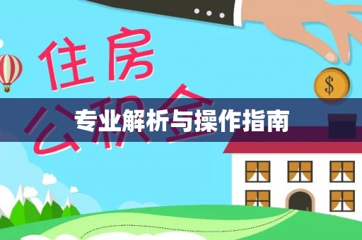 海棠专业解析与操作指南