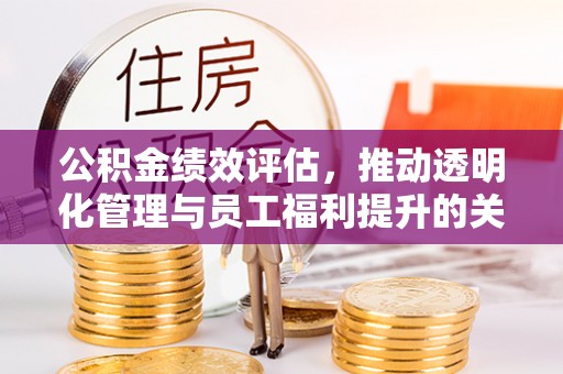 海棠公积金绩效评估，推动透明化管理与员工福利提升的关键