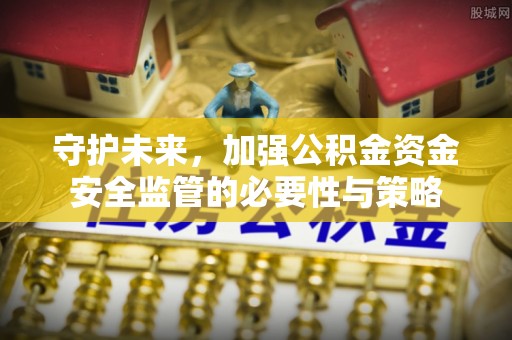 海棠守护未来，加强公积金资金安全监管的必要性与策略