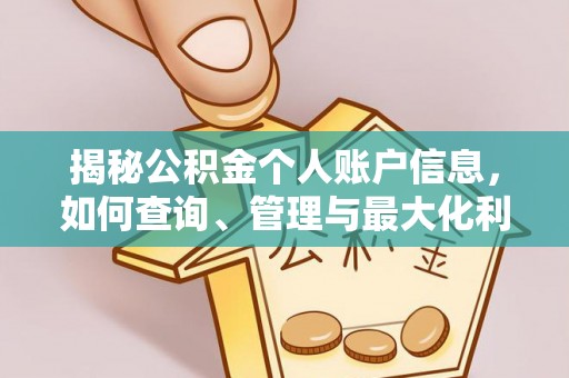 海棠揭秘公积金个人账户信息，如何查询、管理与最大化利用
