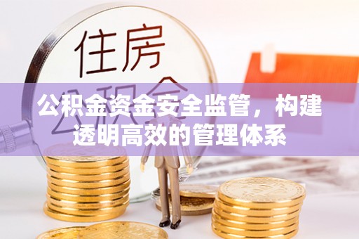 海棠公积金资金安全监管，构建透明高效的管理体系