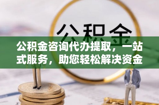 海棠公积金咨询代办提取，一站式服务，助您轻松解决资金难题